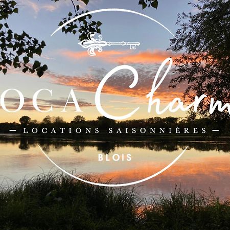 "Gite Le Relais Viennois" Vue Sur Loire & Linge Inclus Blois Eksteriør bilde